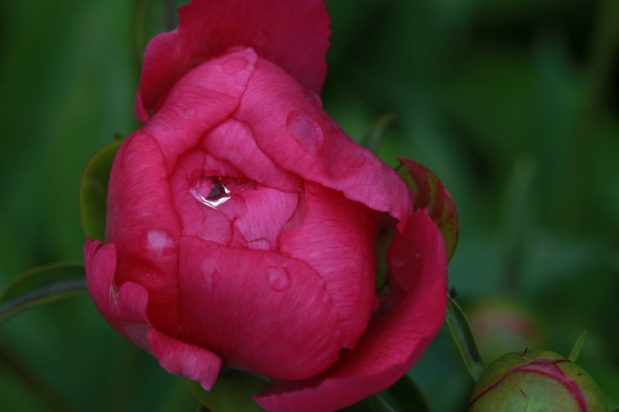 调整大小 IMG_7439.jpg