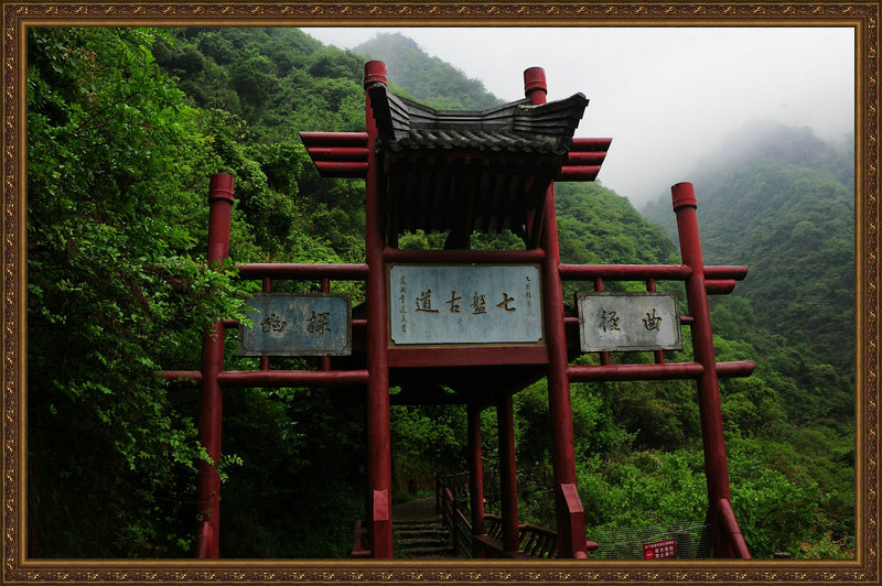 DSC_6804_副本.jpg