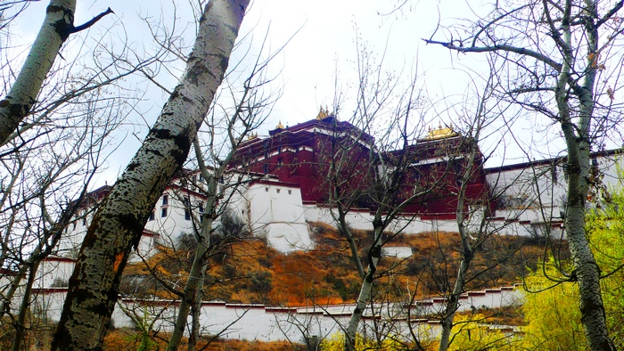 P1130410.JPG