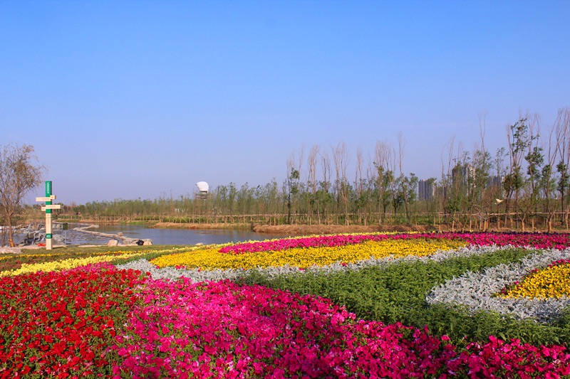 IMG_5477_副本.jpg