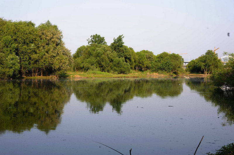 DSC_7303_HZP.jpg