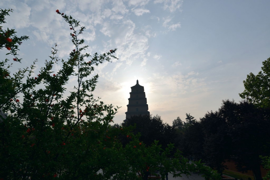 DSC_4553_副本_副本.jpg