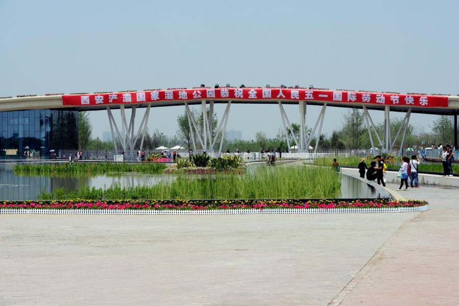 DSC_0264发2.jpg