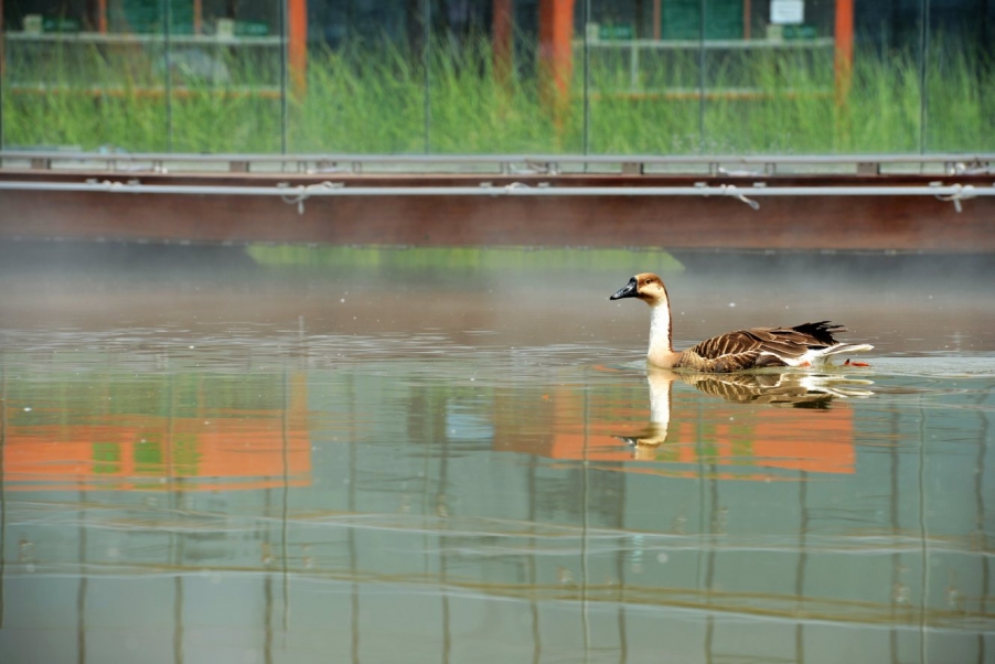 DSC_0250发5.jpg