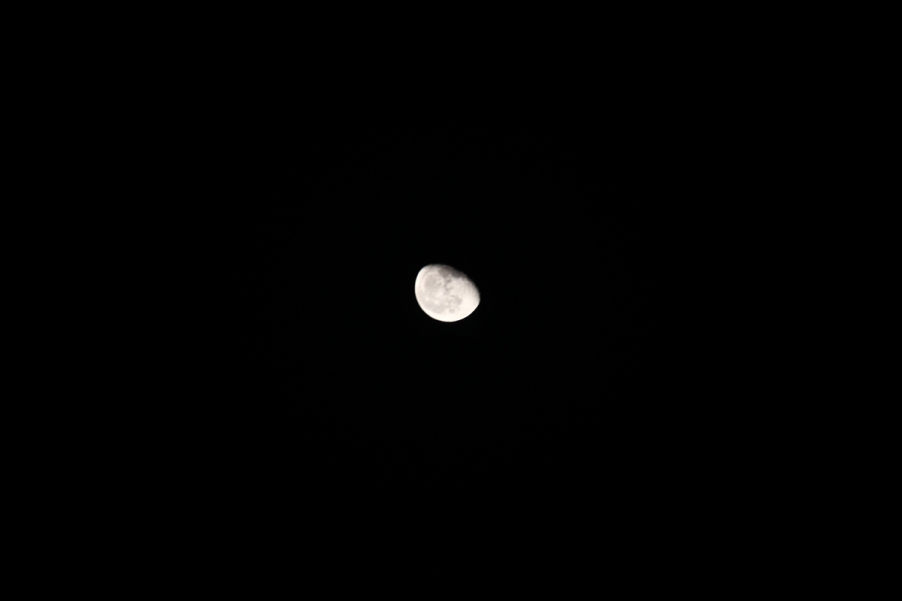 IMG_0082.JPG