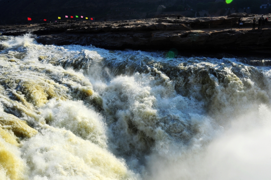 NL2_6592.jpg