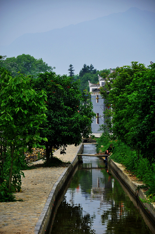 DSC_5454副本_副本.jpg
