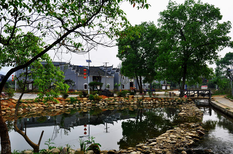 DSC_5277副本_副本.jpg