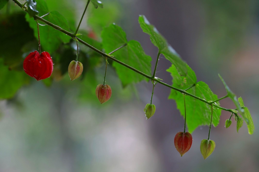 调整大小 IMG_7873u.jpg