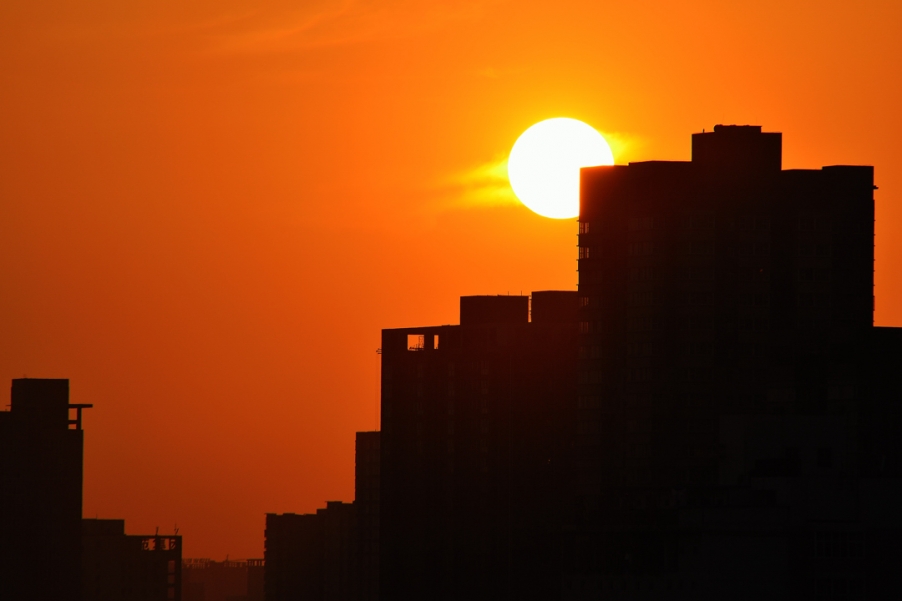 DSC_6551.jpg