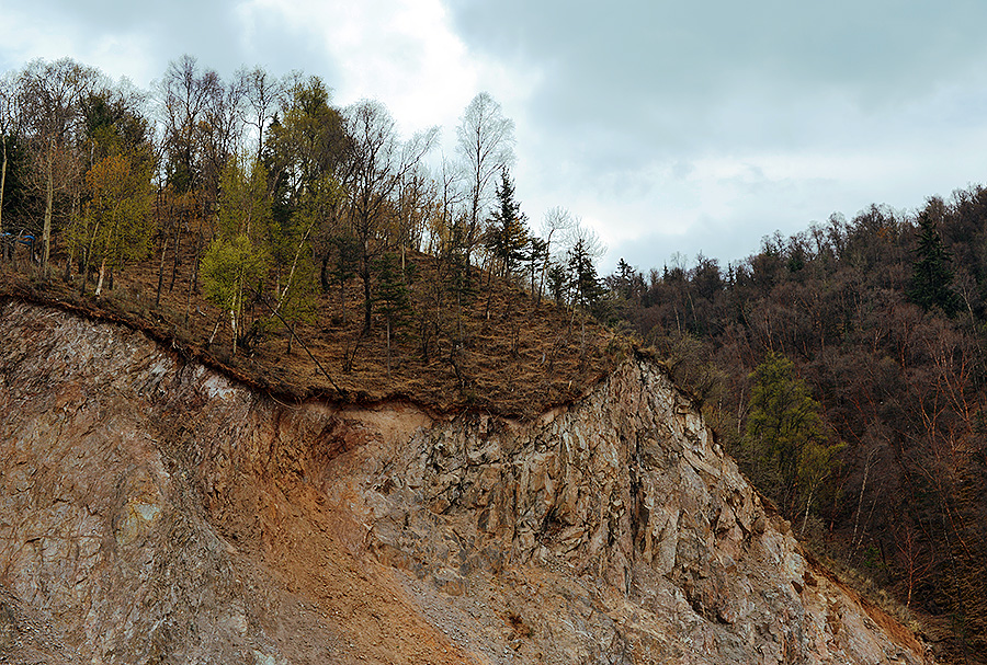 DSC_1311.jpg