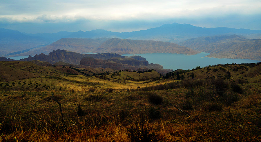 DSC_1330.jpg