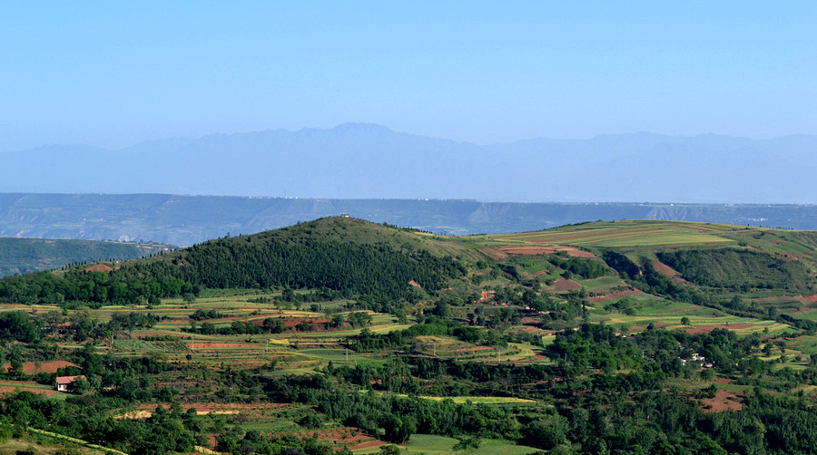 DSC_1195副_副本.jpg
