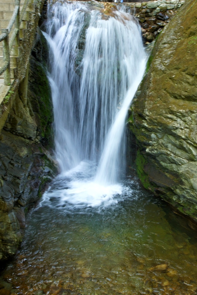 DSC06902.jpg