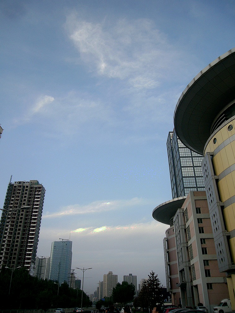 P1310041.jpg