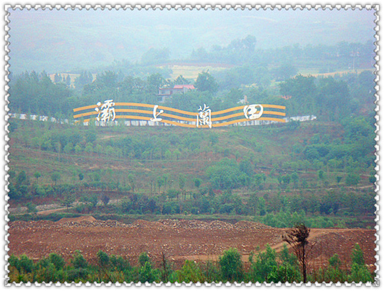 DSC07021_副本_副本.jpg