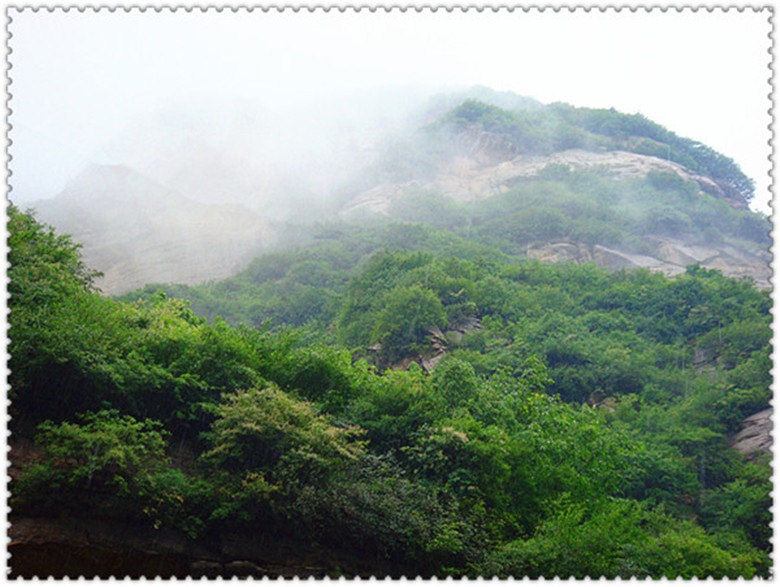 DSC07281_副本_副本.jpg