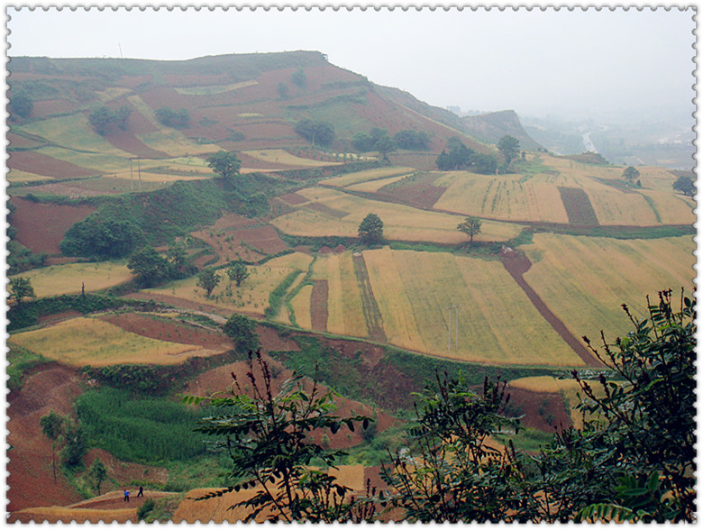 DSC07079_副本.jpg
