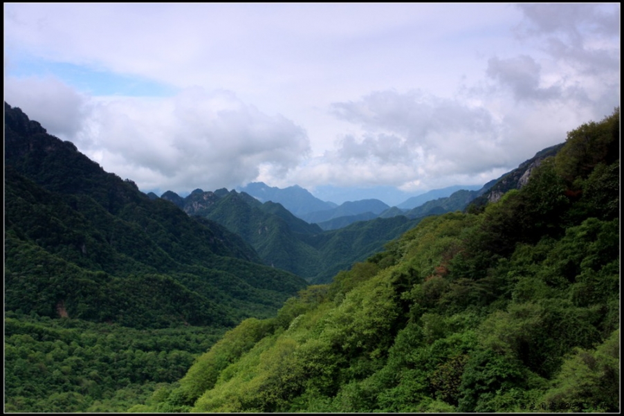 发帖4.jpg