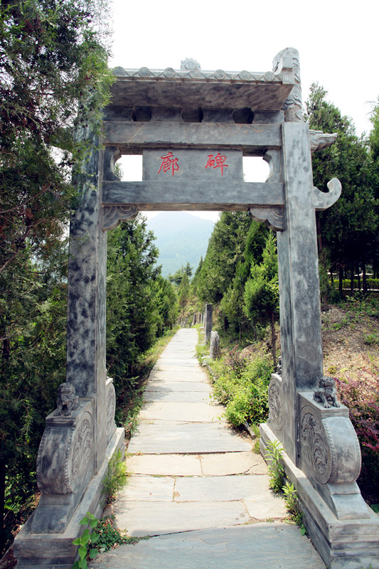 紫阳 276_副本.jpg