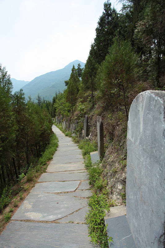 紫阳 281_副本.jpg