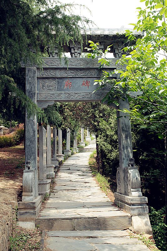 紫阳 288_副本.jpg