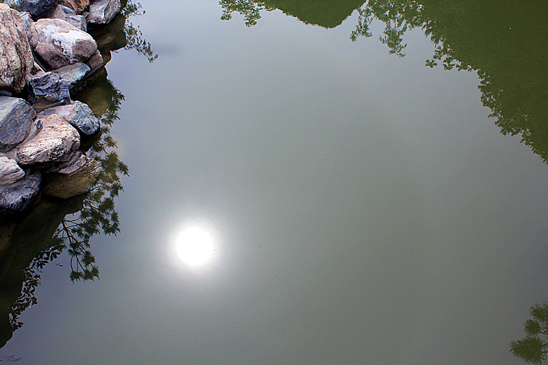 IMG_6354_副本.jpg