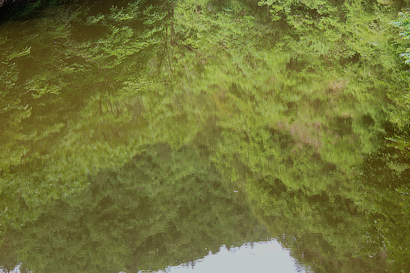 IMG_6380_副本.jpg