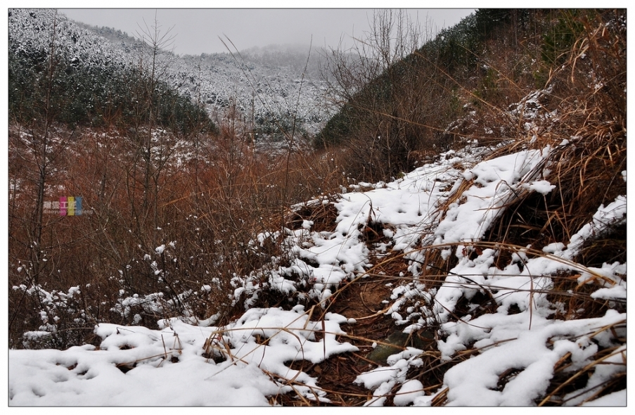 DSC_0608-1.jpg