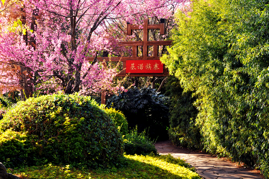 云南 (17).jpg