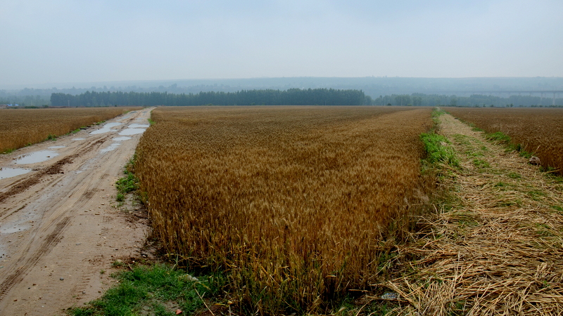 DSC_3442.JPG