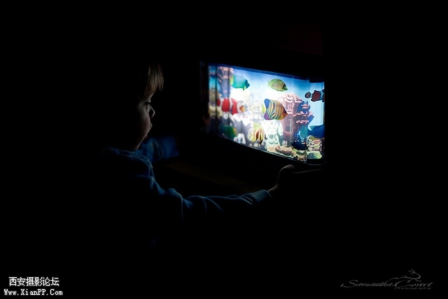 025_samcovert.jpg 025_samcovert.jpg