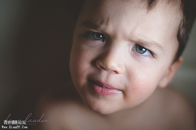 049_dlauder.jpg 049_dlauder.jpg