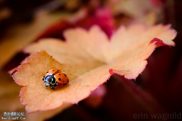 200_erinbeth.jpg 200_erinbeth.jpg