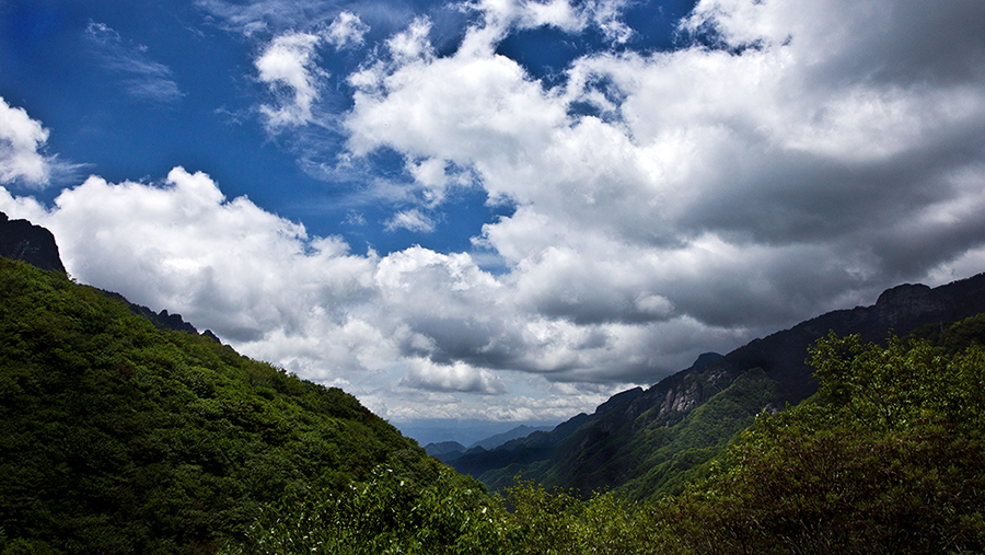 DSC04995-编辑-900.jpg
