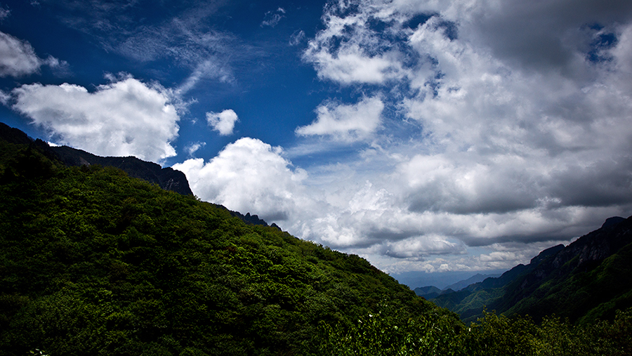 DSC05011-编辑-900.jpg