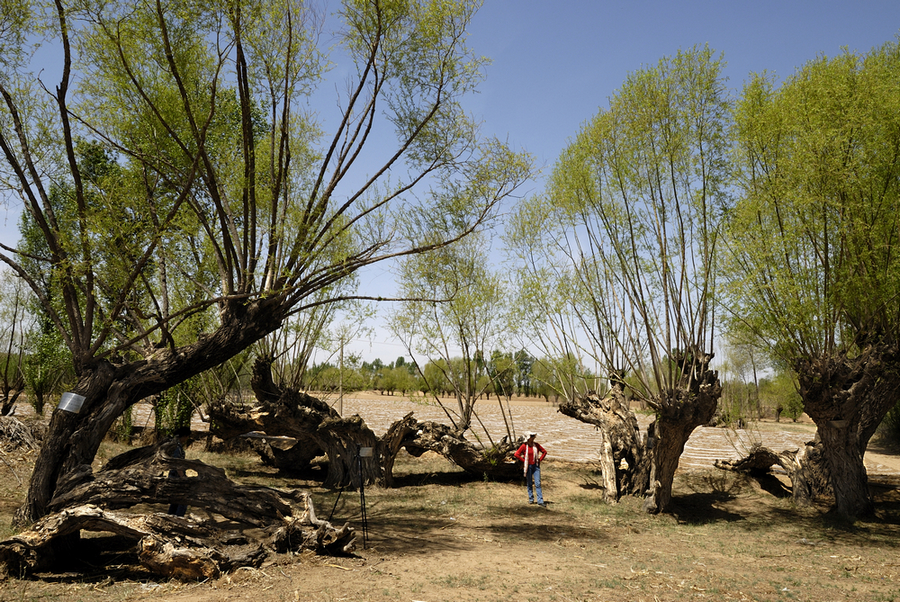 _DSC0094.jpg