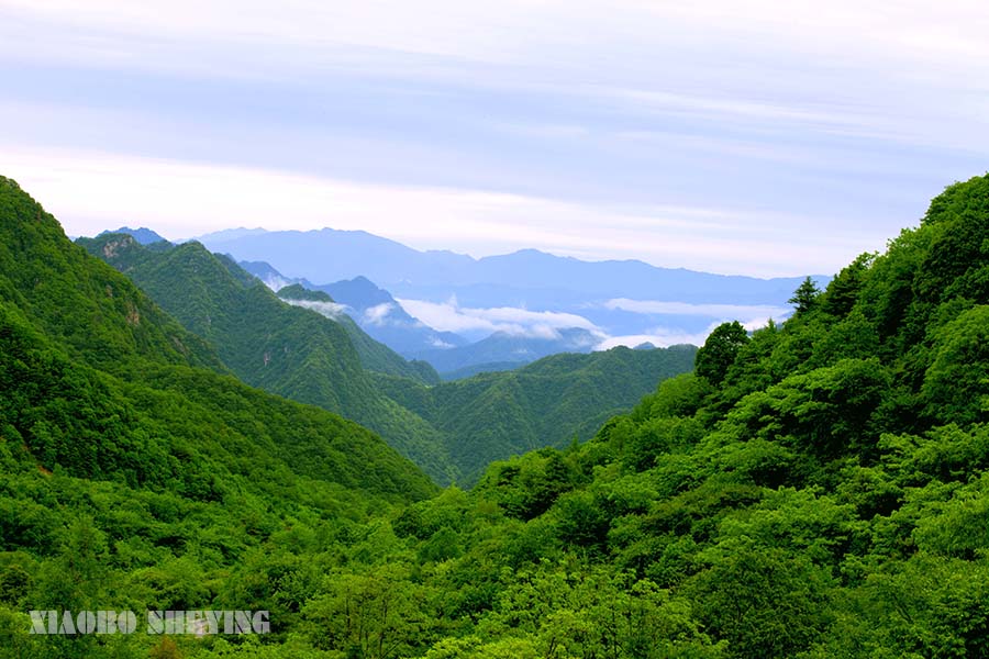 20130529_0512副本.jpg