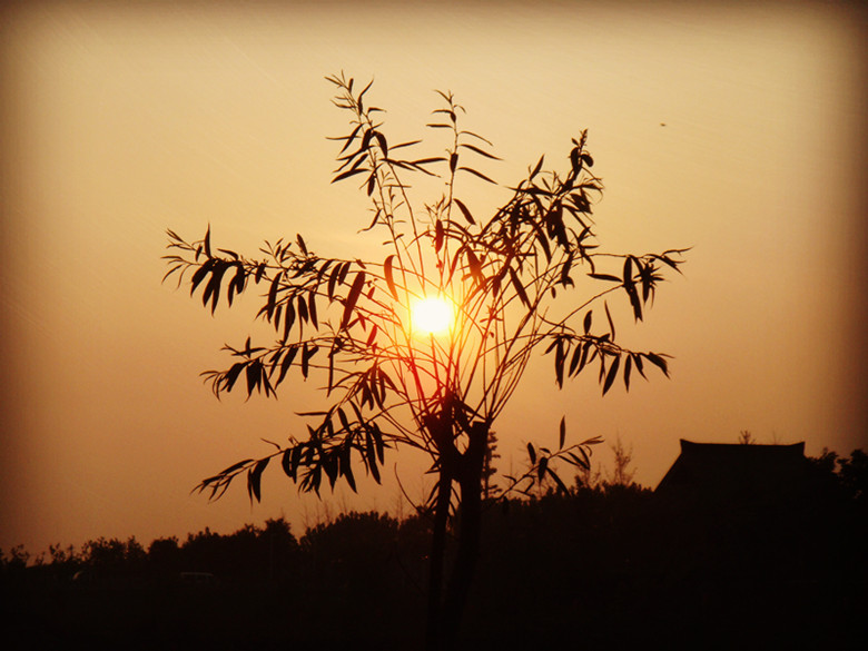 DSC07477_副本.jpg