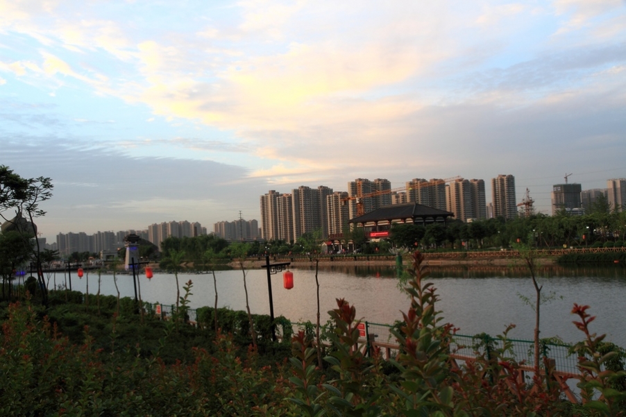 植物园51.jpg