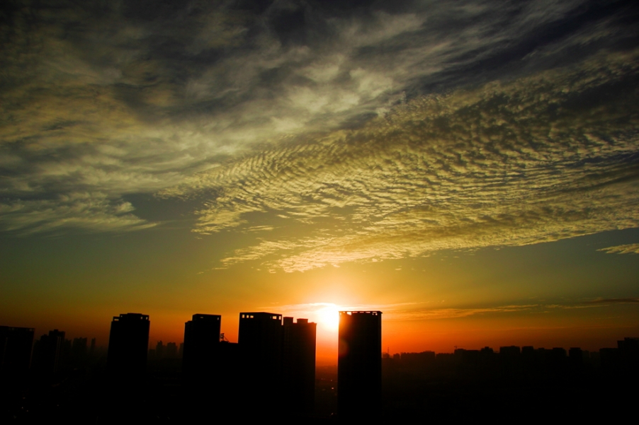 _MG_2870.jpg