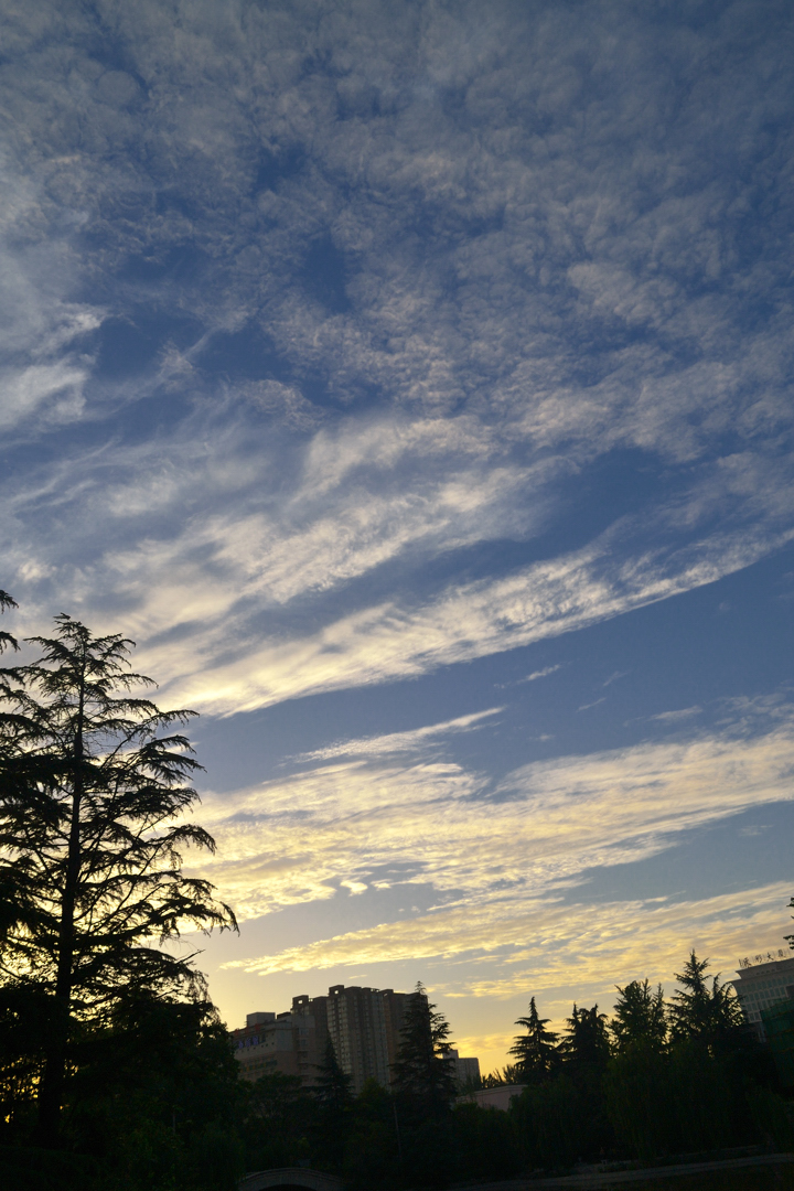 DSC_7839.jpg