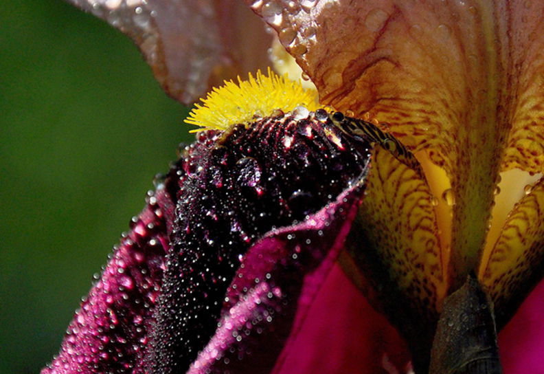 DSC_0151.jpg
