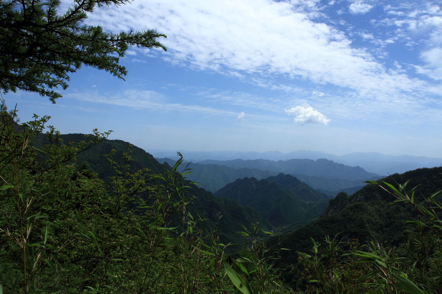 秦岭光头山8.JPG