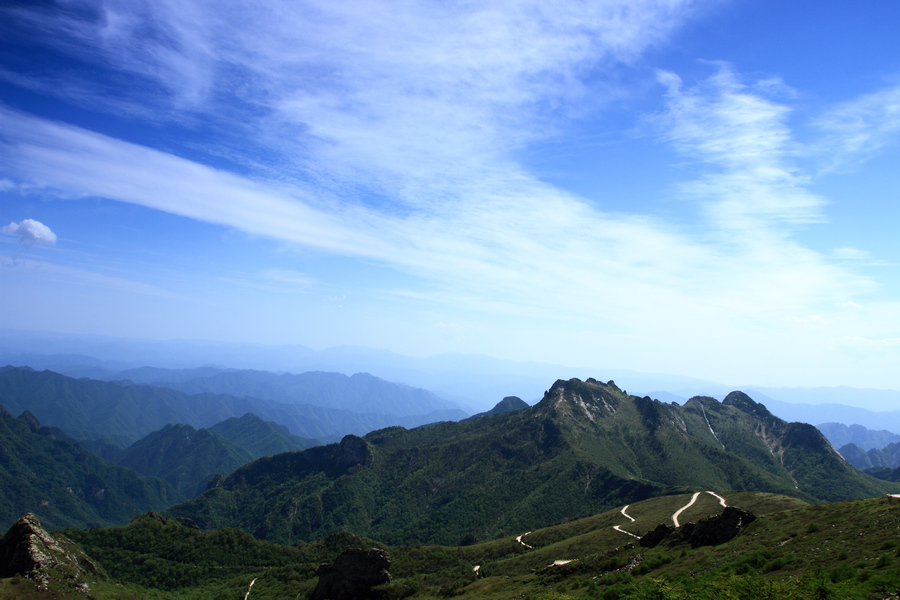 秦岭光头山12.JPG