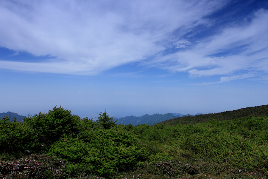 秦岭光头山15.JPG
