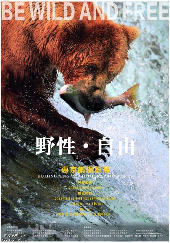 海报1拼转曲.jpg