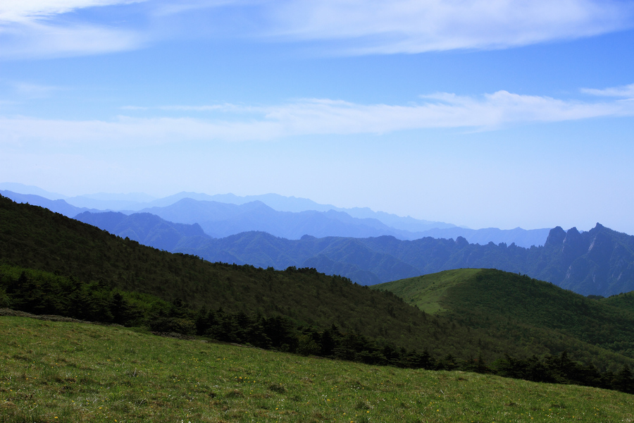 秦岭光头山26.JPG