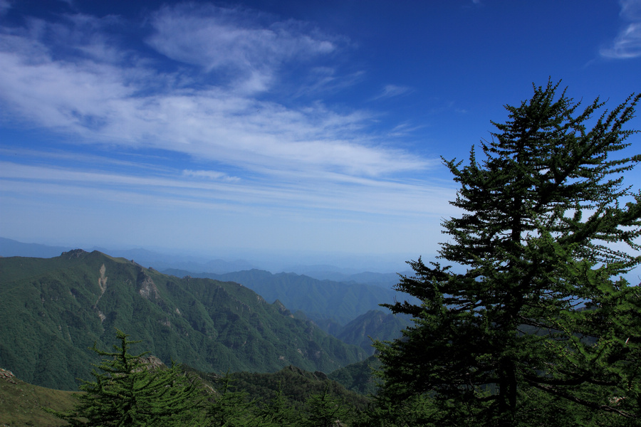 秦岭光头山21.JPG