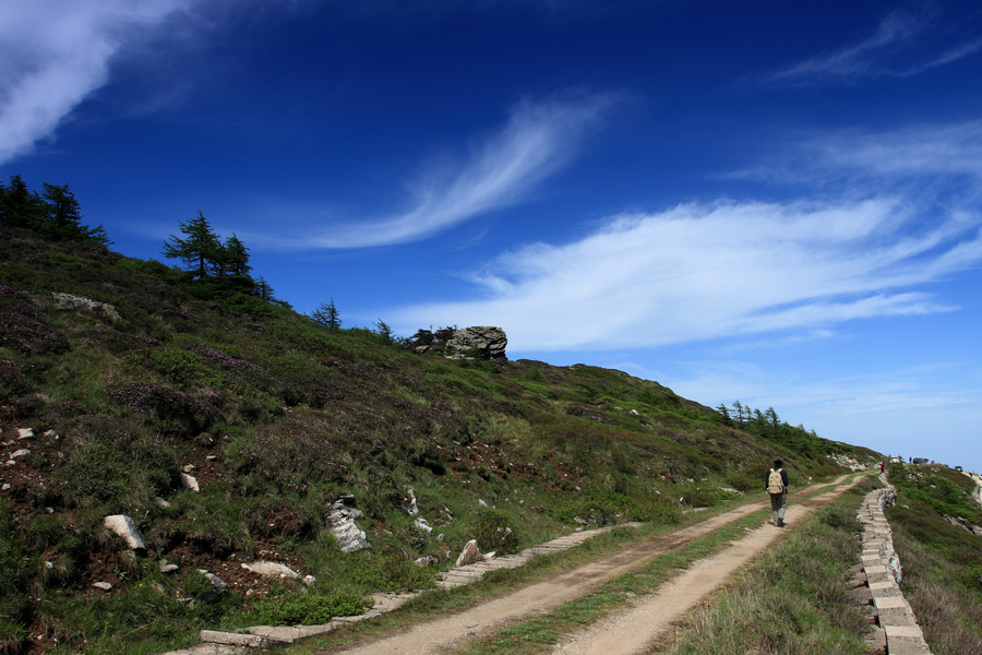 秦岭光头山22.JPG